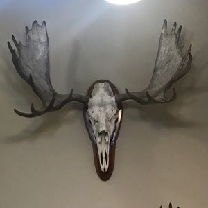 Meet your Posher, Elijah